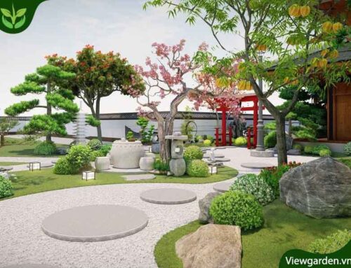 Thiết Kế Và Thi Công “Vườn Trên Mái Phong Cách Nhật Bản”