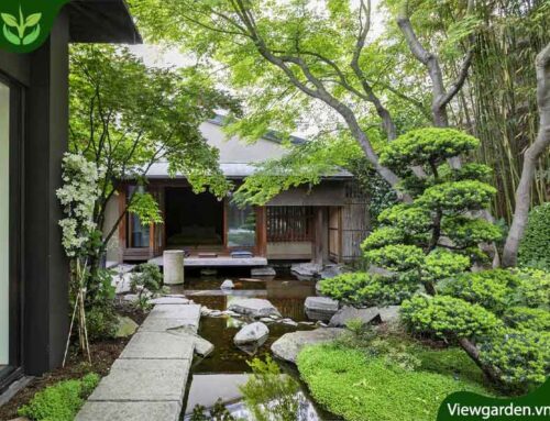 Vườn Nhật quá trình hình thành và phát triển như thế nào?