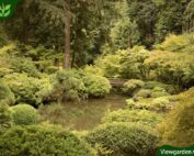 Khu vườn truyền thống Nhật bản