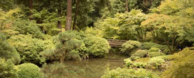 Khu vườn truyền thống Nhật bản