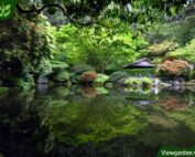 Vườn đồi và ao Tsukiyama