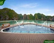 Nhựa giả gỗ lát sàn