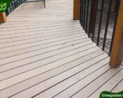 Sàn gỗ nhựa trường mầm non BMV